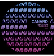 Canard - You Should