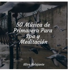 Canciones de Cuna 101, Musica Para Dormir y Sonidos de la Naturaleza, Cascada de Lluvia - 50 Música de Primavera Para Spa y Meditación