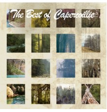 Capercaillie - The Best Of Capercaillie