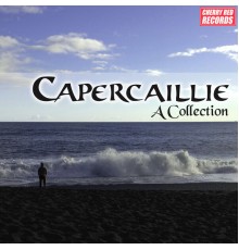 Capercaillie - Capercaillie: A Collection