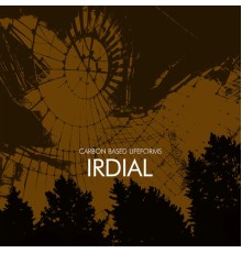 Carbon Based Lifeforms - Irdial