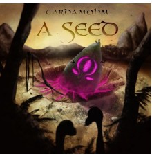 Cardamohm - A Seed