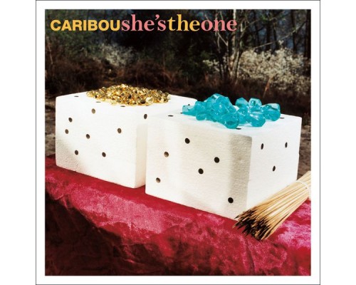 Caribou - She's the One