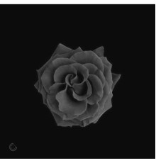 Carl Conky - Black Rose