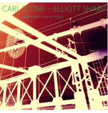 Carl Stone & Elliott Sharp - Synkretika (Live in Tokyo)