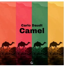 Carlo Daudt - Camel