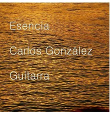 Carlos Gonzalez - Escencia