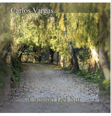 Carlos Vargas - Camino del Sur