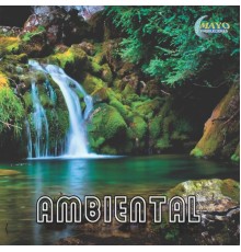 Carlos Velasco - Ambiental