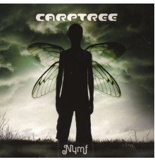 Carptree - Nymf