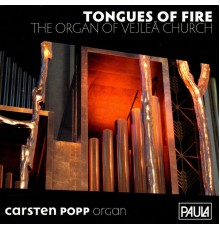 Carsten Popp - Tongues of Fire