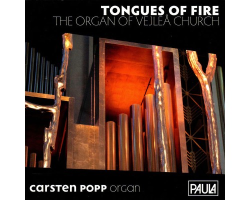 Carsten Popp - Tongues of Fire