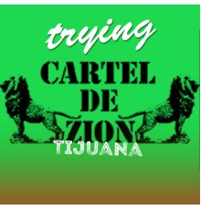 Cartel de Zion (tijuana) - Trying