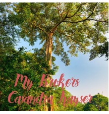 Casandra Kayser - My Brokers