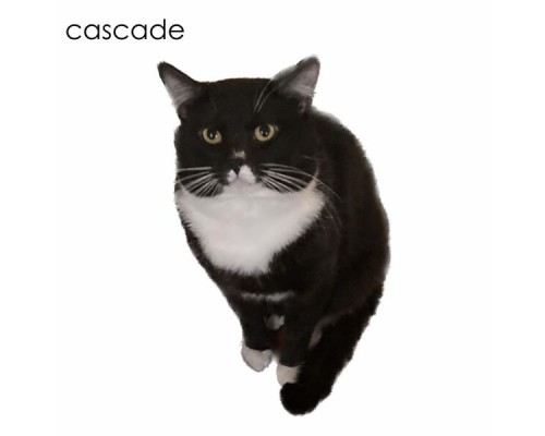 Cascade - Cascade (White Album)