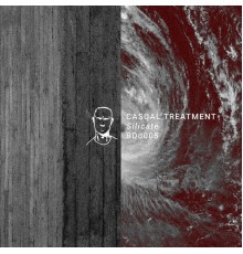 Casual Treatment - Silicate EP