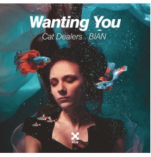 Cat Dealers, BIAN - Wanting You