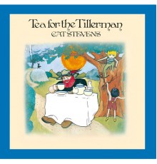 Cat Stevens - Tea For The Tillerman