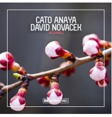 Cato Anaya & David Novacek - Aguanile