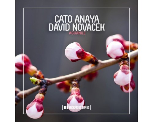 Cato Anaya & David Novacek - Aguanile