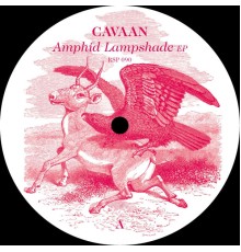 Cavaan - Amphid Lampshade