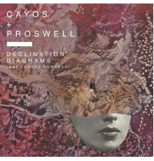 Cayos  &  Proswell - Declination Diagrams (Map Legend Reworks)