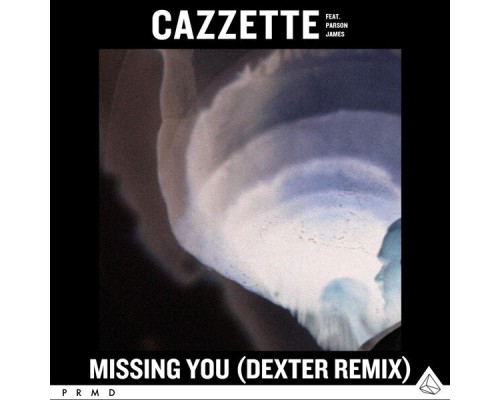 Cazzette - Missing You  (Dexter Remix)