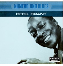 Cecil Gant - Numero Uno Blues