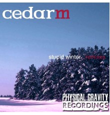 Cedar M - Stupid Winter (Remixes)