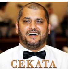 Cekata - 2016