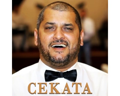 Cekata - 2016