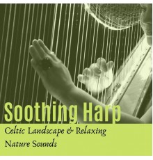 Celtic Dreams - Soothing Harp: Celtic Landscape & Relaxing Nature Sounds