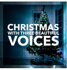 Celtic Thunder, Lee Greenwood and Bj Thomas - Christmas With Three Beautiful Voices