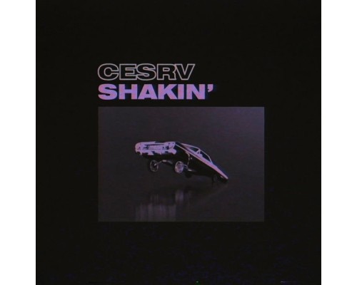 Cesrv - Shakin'