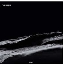 Chaliodus - Prey