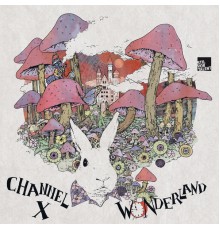 Channel X - Wonderland