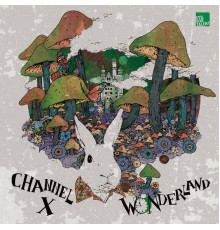 Channel X - Wonderland Remixed