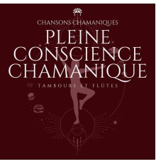 Chansons Chamaniques, Musique de Relaxation, Zen Musique Détente, AP - Pleine conscience chamanique - Méditation spirituelle, Tambours et Flûtes