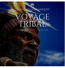 Chansons Chamaniques, Zen Musique Détente, Musique de Relaxation, AP - Voyage tribal de l'esprit indien