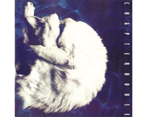 Chapterhouse - Whirlpool (Expanded Edition)