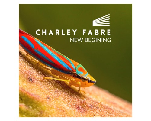 Charley Fabre - New Beginning