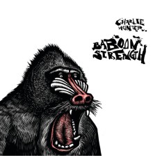 Charlie Hunter - Baboon Strength