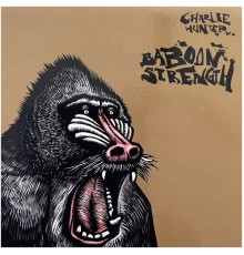 Charlie Hunter - Baboon Strength