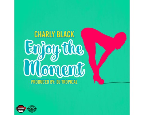 Charly Black - Enjoy the Moment