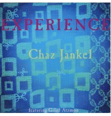 Chaz Jankel - Experience