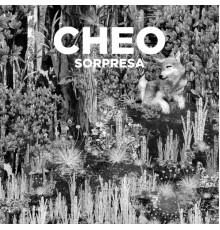 Cheo - Sorpresa