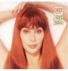 Cher - Love Hurts