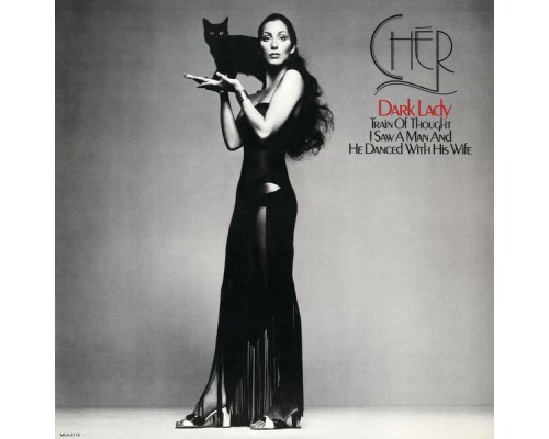 Cher - Dark Lady