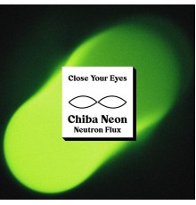 Chiba Neon - Neutron Flux