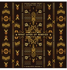 Chicago Afrobeat Project feat. Tony Allen - What Goes Up Remixed (Remixed)